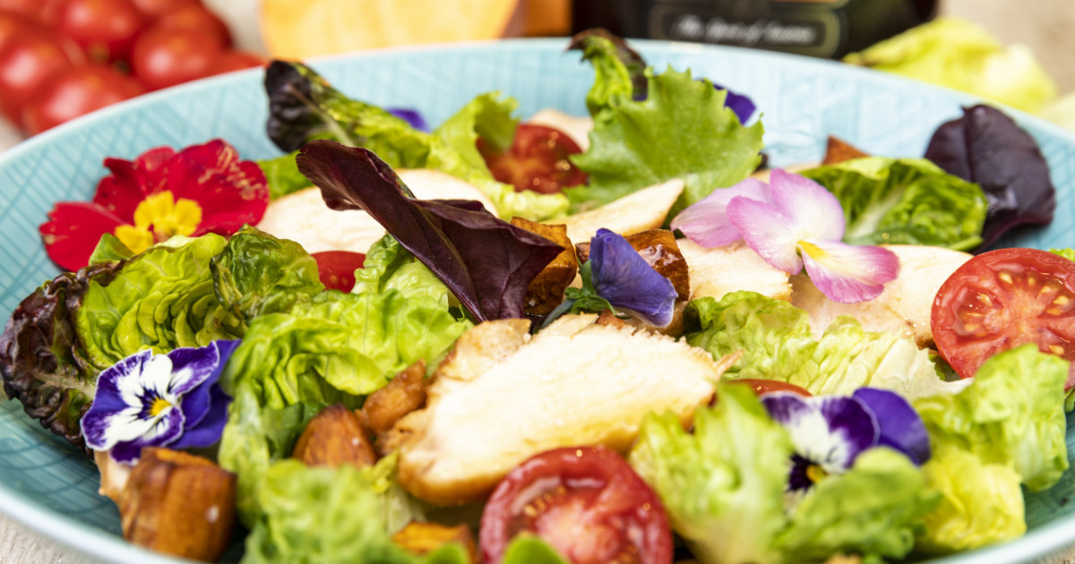 WüRfel Salat - Rezepte Suchen