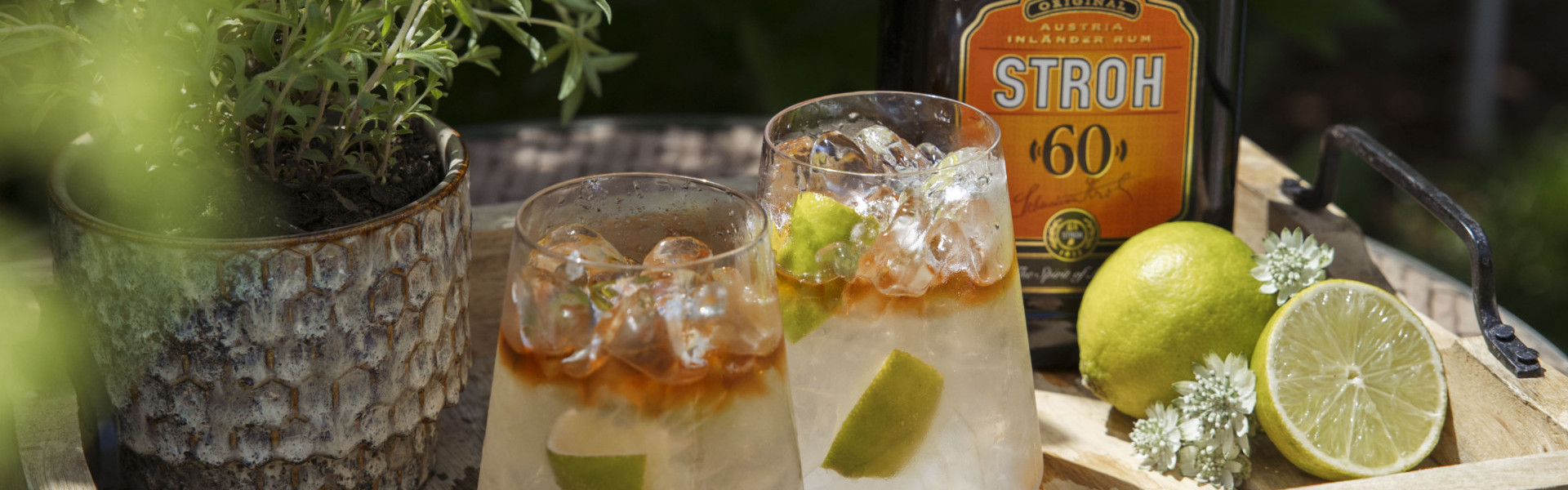 Mountain Mule mit STROH 60