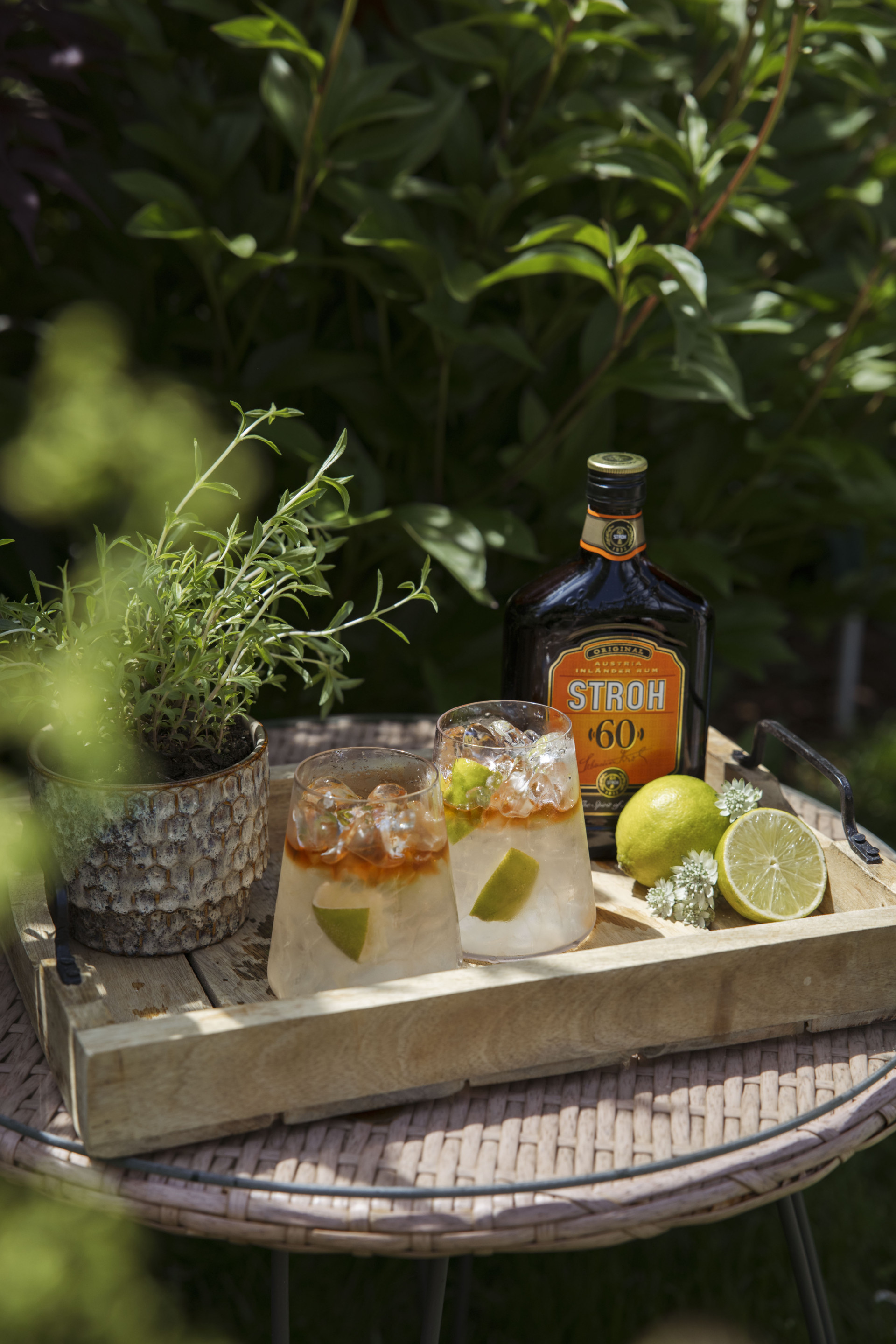 Mountain Mule mit STROH 60